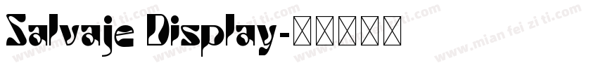 Salvaje Display字体转换